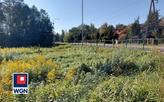 Grunt aktywizacja gospodarcza na  sprzedaż Żarki - Duży teren inwestycyjny